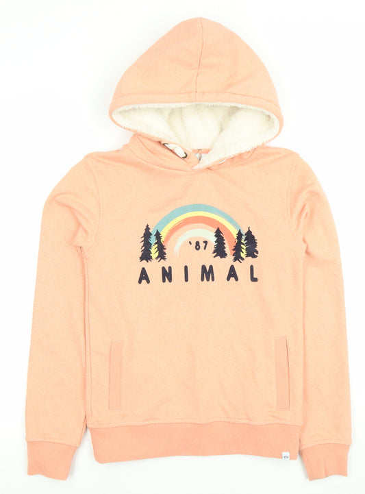 Animal Girls Pink Hooded Pullover Hoodie 11-12 Years Rainbow Graphic Lined