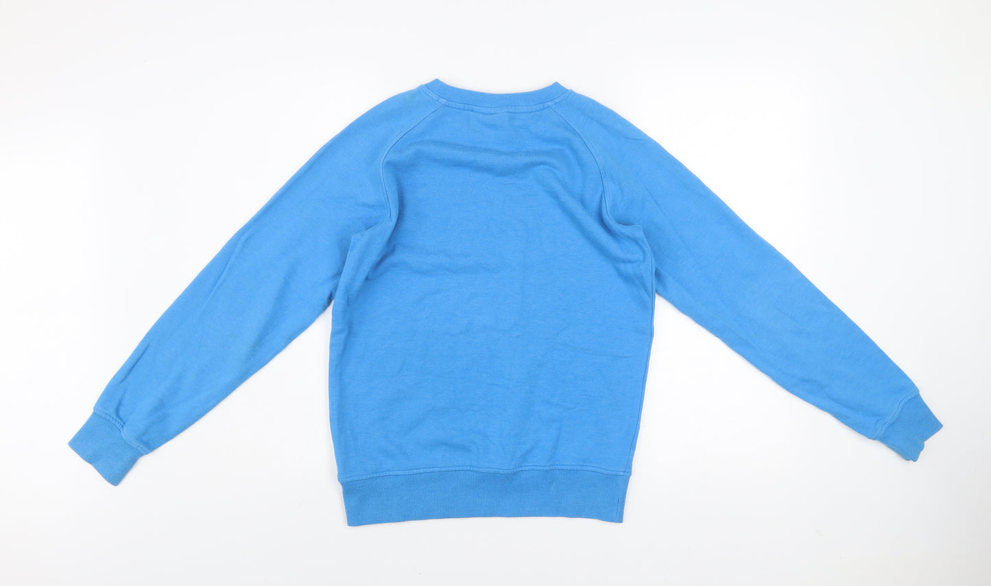 Animal Boys Blue Crew Neck Pullover Sweatshirt 13-14 Years