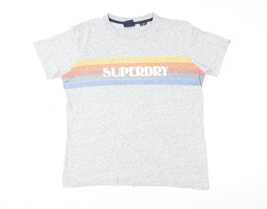 Superdry Men Grey Retro Stripe Logo Crew Neck Cotton T-Shirt L