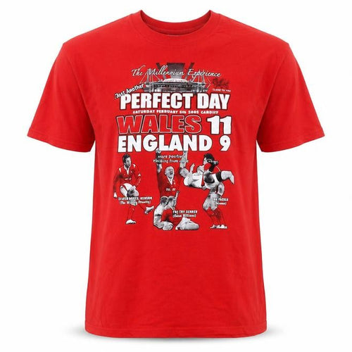 Gildan Men's Red XL Wales Rugby Sports Graphic T-Shirt Vintage