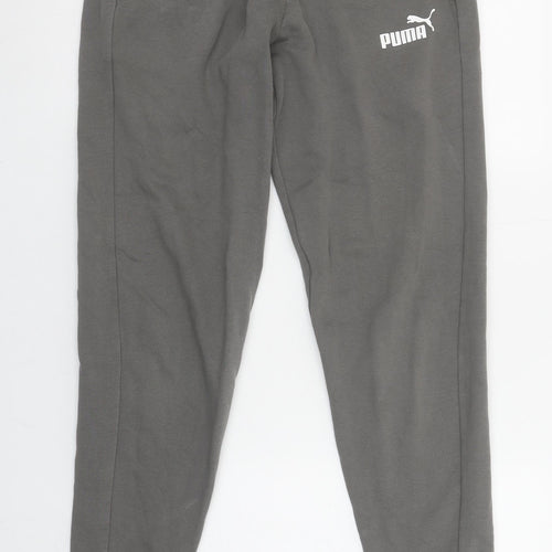 Puma Men's Grey Jogger Sweatpants S Regular Fit Elastic Waist