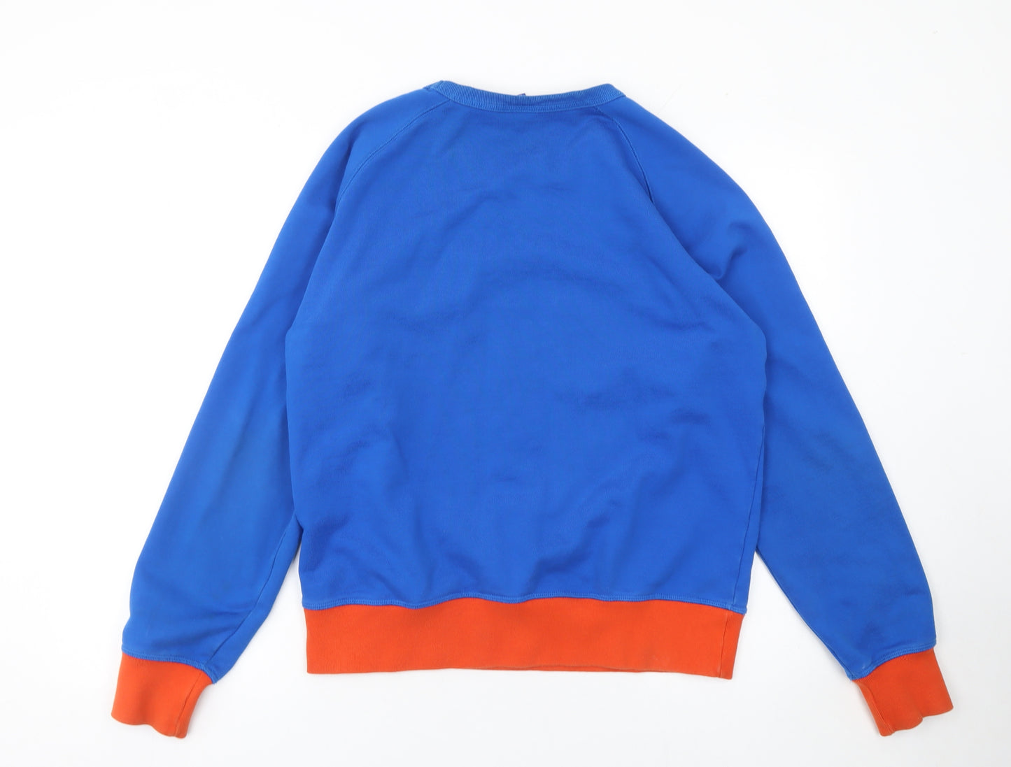 Champion Men's Blue Pullover Sweatshirt L Crew Neck Cotton
