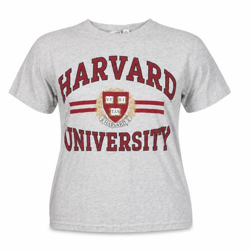 H&M Women’s Grey Harvard University Relaxed T-Shirt Size 12