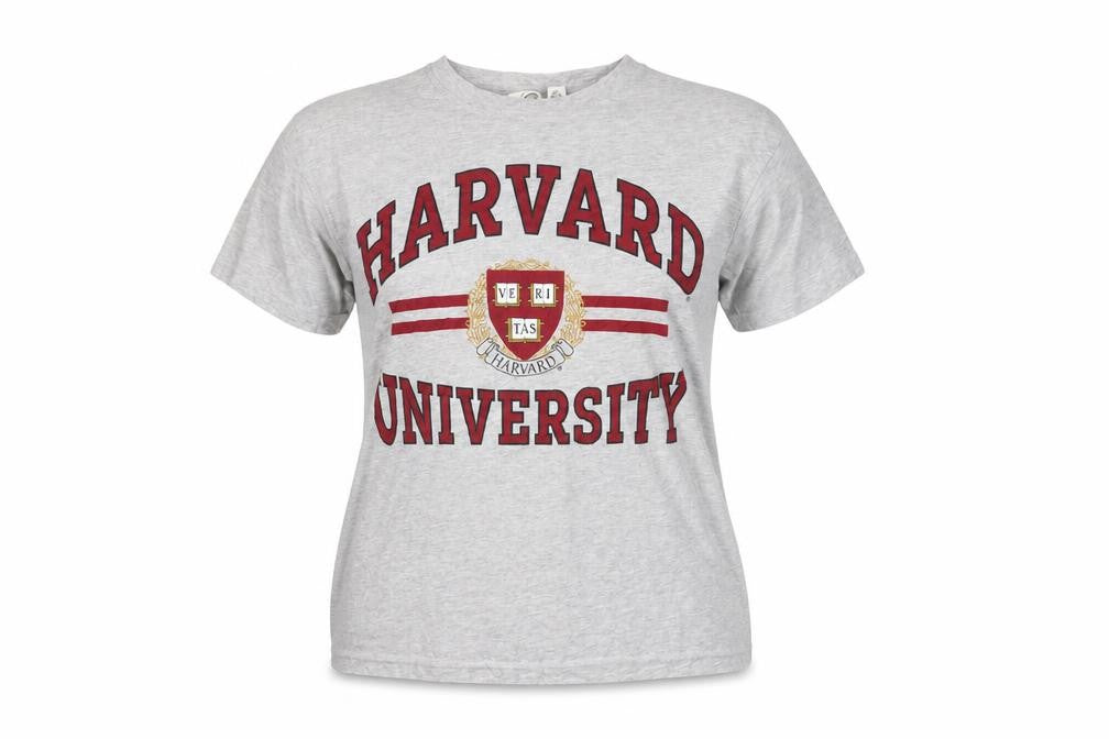 H&M Women’s Grey Harvard University Relaxed T-Shirt Size 12