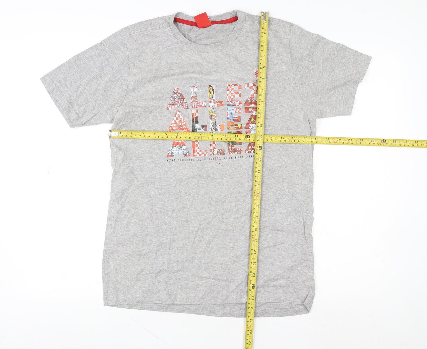 Liverpool FC Men's Grey Graphic Short Sleeve T-Shirt Small
