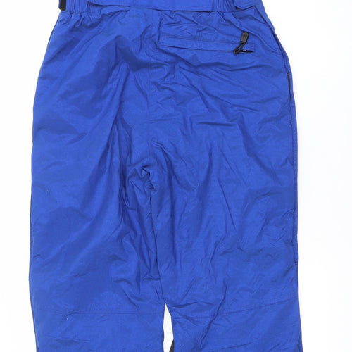 The North Face Men's Blue L Waterproof Insulated Snow Pants