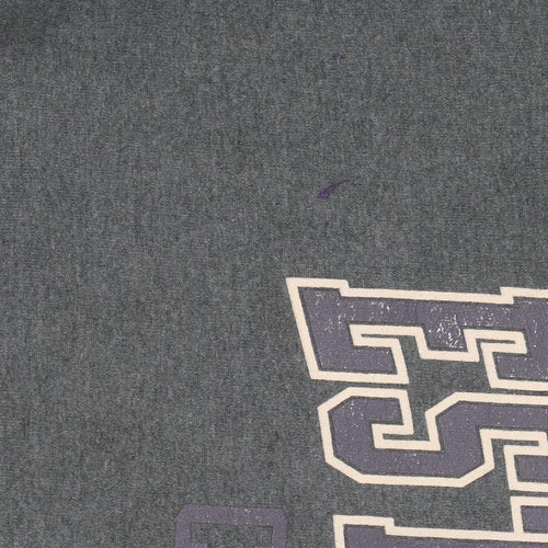 Champion Men's Green Pullover Hoodie L Graphic Estes Park Sweatshirt