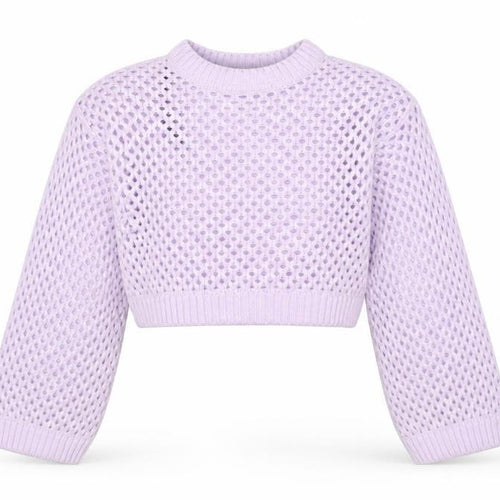 H&M Divided Women Purple Open-Knit Cropped Jumper 2XS