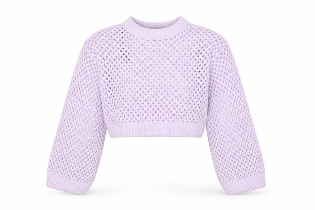 H&M Divided Women Purple Open-Knit Cropped Jumper 2XS