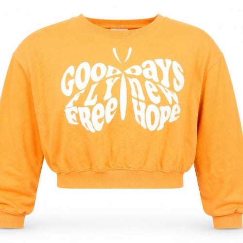 H&M Women Orange Graphic Crop Sweatshirt Size M Cotton Blend