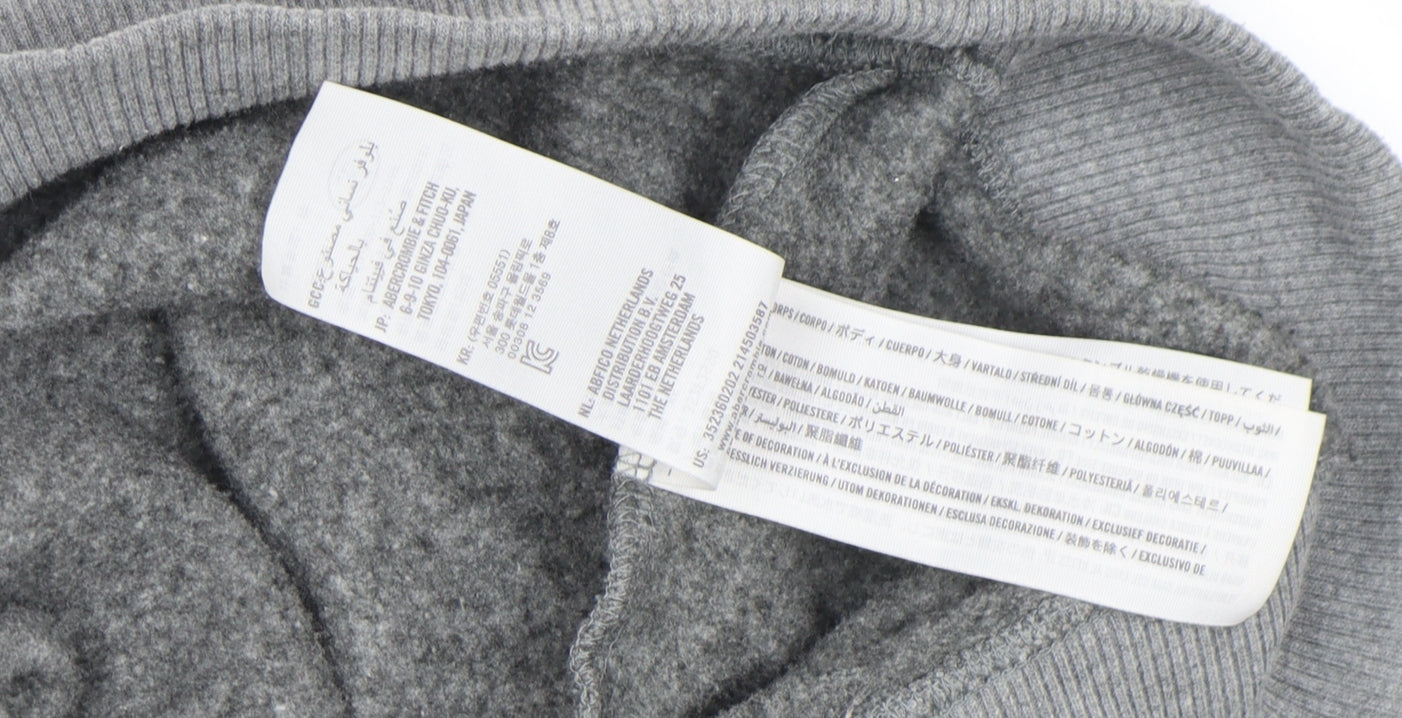 Hollister Mens Multicoloured Grey Sweatshirt XS Crew Neck Pullover
