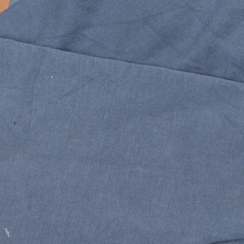 Champion Men's Blue Pullover Hoodie L Sports Graphic Fleece