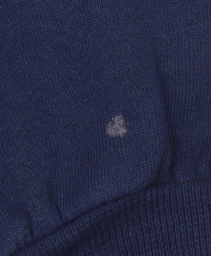 Famous Sportswear Men’s Blue Pullover Sweatshirt L Embroidered Augastana Dad