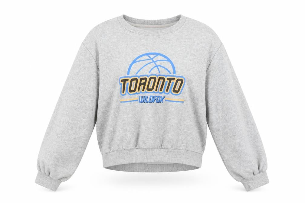 Front view of H&M Divided Women's Grey Toronto Wildfox Graphic Sweatshirt, size S