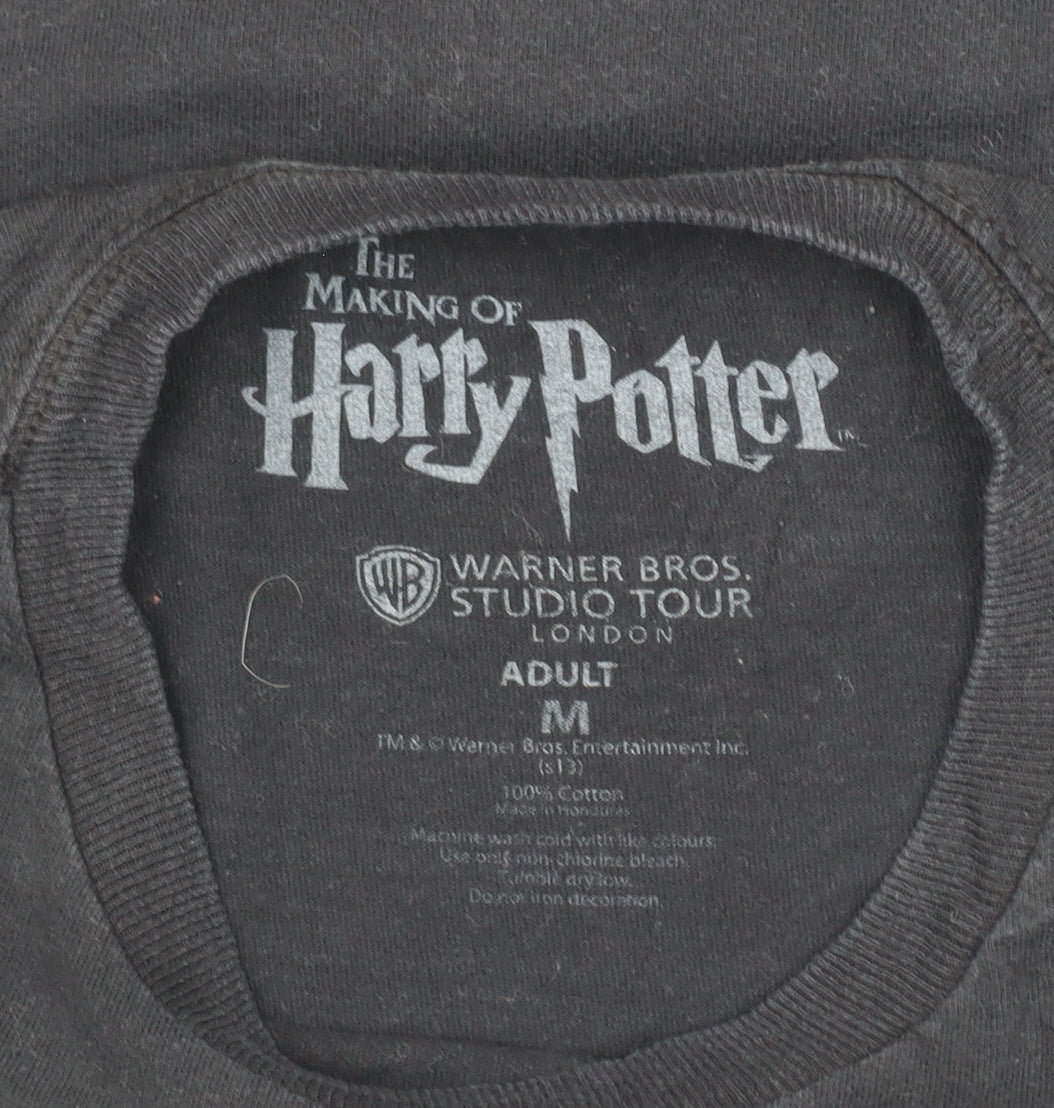 Harry Potter Men’s Black Medium Hogwarts Graphic T-Shirt