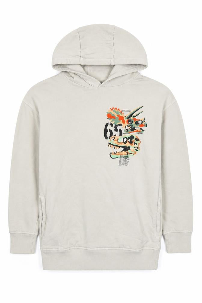 Front view of Next boys’ beige dinosaur graphic pullover hoodie 12 years cotton