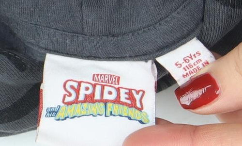 Marvel Spidey and His Amazing Friends Boys Grey Pullover Hoodie 5 Years