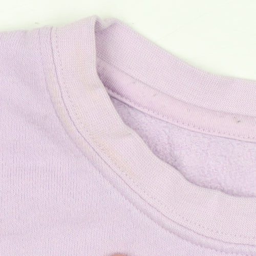 Dunnes Stores Women's Lilac Crew Neck Pullover Sweatshirt Size L