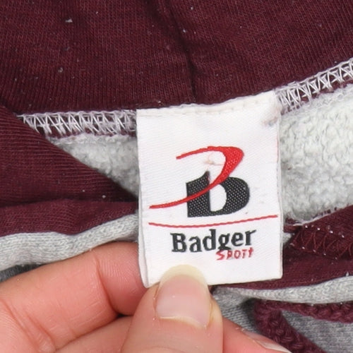 Badger Sport Men's Grey Pullover Hoodie Size L Minnesota Graphic