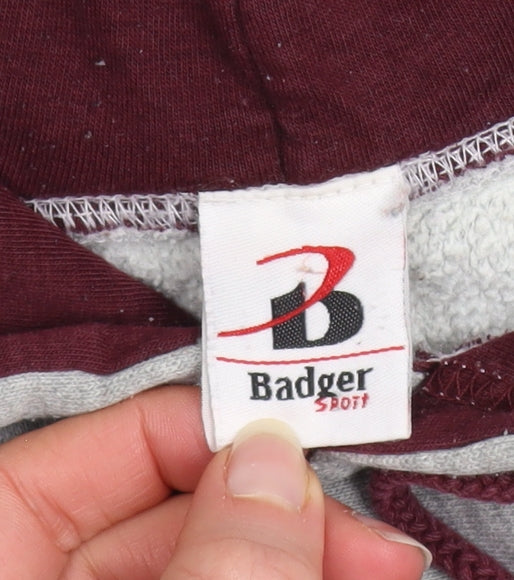 Badger Sport Men's Grey Pullover Hoodie Size L Minnesota Graphic