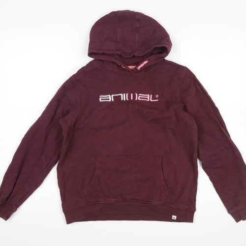 Animal Girls Brown Pullover Hoodie 13 Years Logo Fleece Cotton