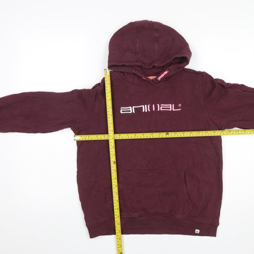 Animal Girls Brown Pullover Hoodie 13 Years Logo Fleece Cotton