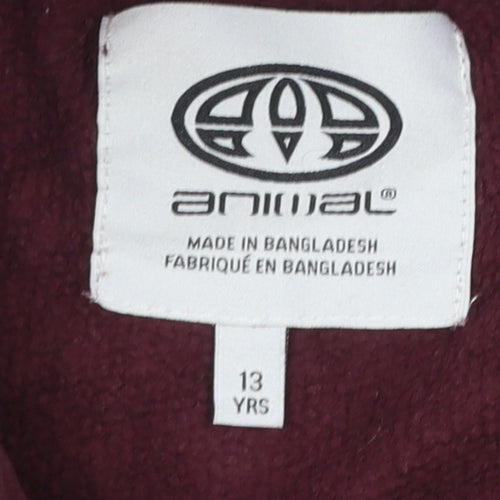 Animal Girls Brown Pullover Hoodie 13 Years Logo Fleece Cotton