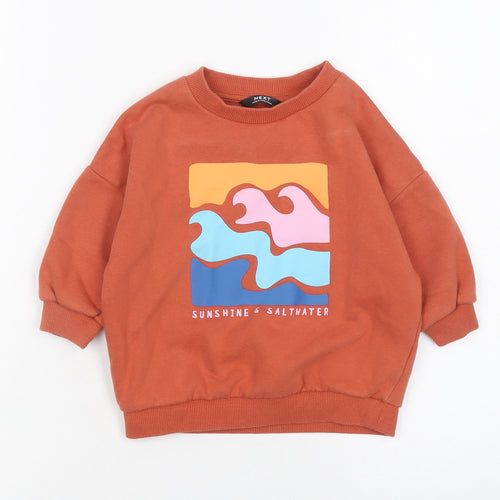 Next Unisex Baby Brown Graphic Print Pullover T-Shirt 9-12 Months