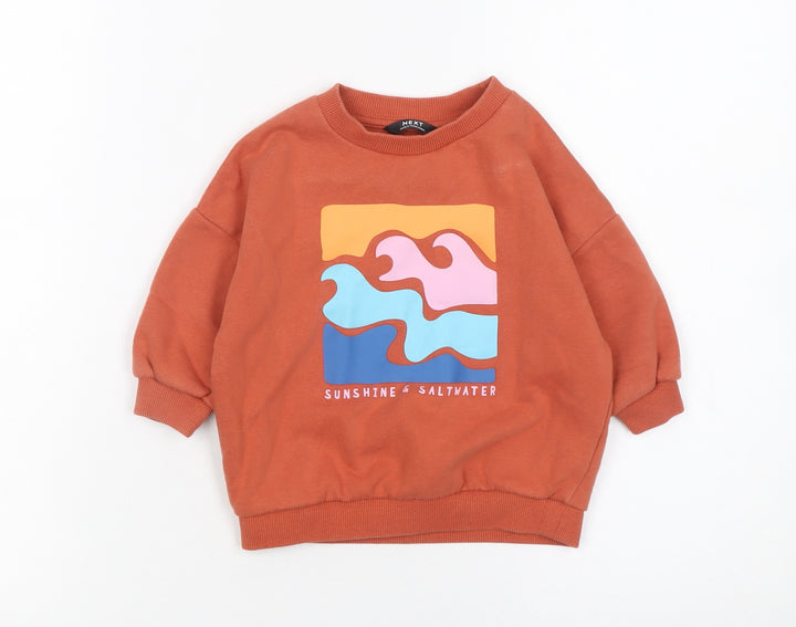 Next Unisex Baby Brown Graphic Print Pullover T-Shirt 9-12 Months