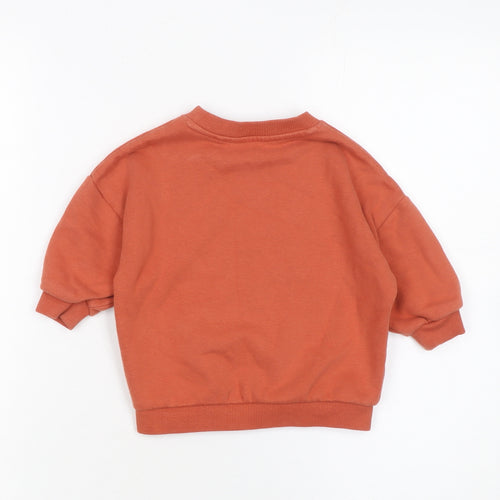 Next Unisex Baby Brown Graphic Print Pullover T-Shirt 9-12 Months
