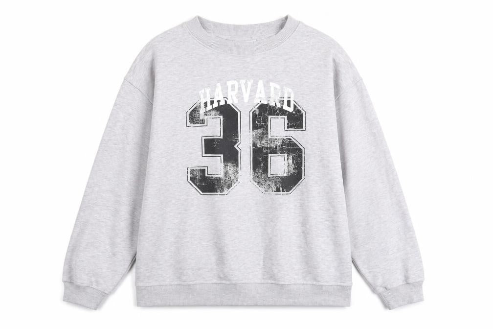 Front view of Harvard Women's Grey Pullover Sweatshirt, size 16, Cotton Blend