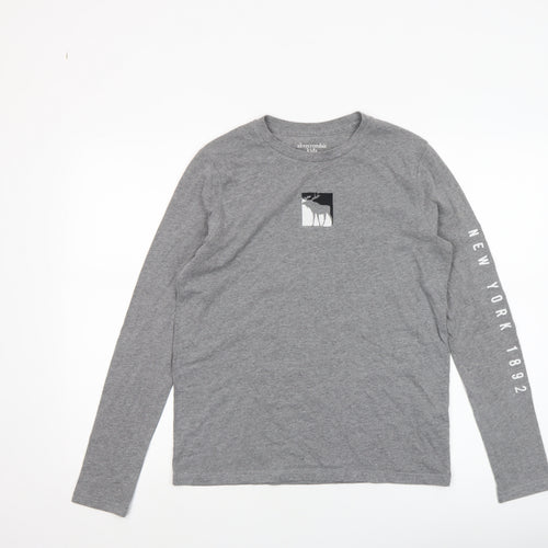 Abercrombie Kids Boys Grey Long Sleeve T-Shirt 15-16 Years Regular Fit