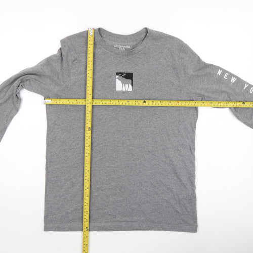 Abercrombie Kids Boys Grey Long Sleeve T-Shirt 15-16 Years Regular Fit