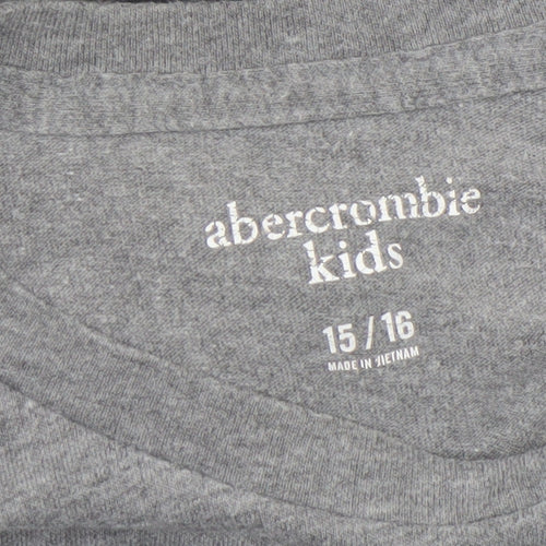 Abercrombie Kids Boys Grey Long Sleeve T-Shirt 15-16 Years Regular Fit