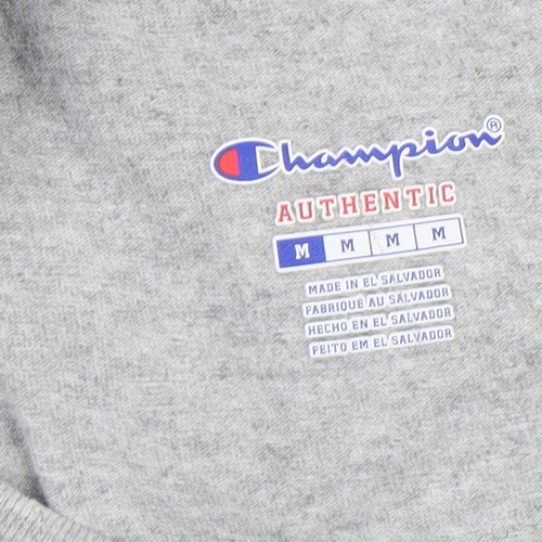 Champion Men's Grey Summit Eagles Long Sleeve Casual Top M