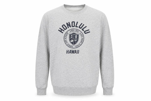 Front view of H&M men’s grey graphic honolulu hawaii sweatshirt, size S, pullover