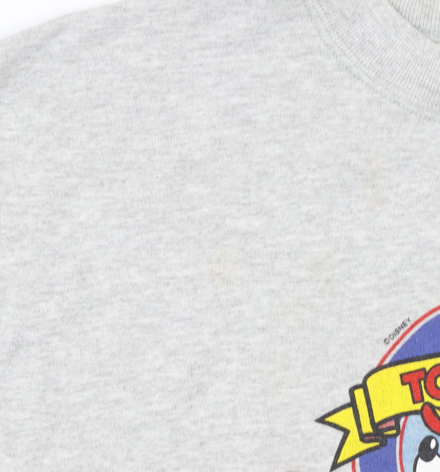 Fruit of the Loom Women’s Grey Topolino Disney Sweatshirt Medium