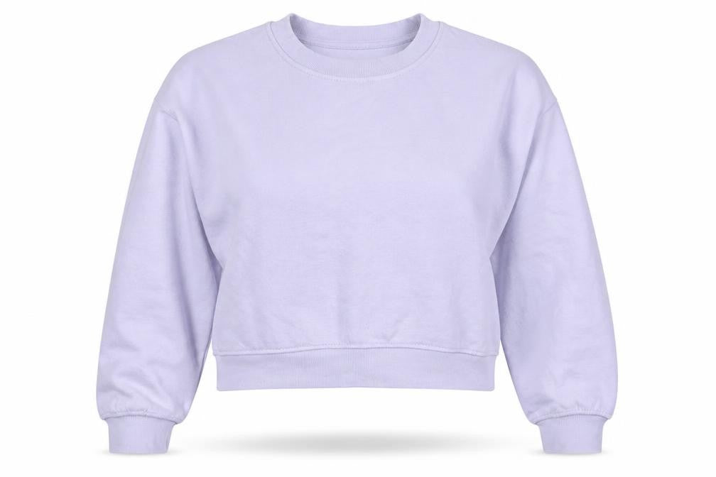 Front view of Zara Women Lilac Crew Neck Pullover Sweatshirt, size M