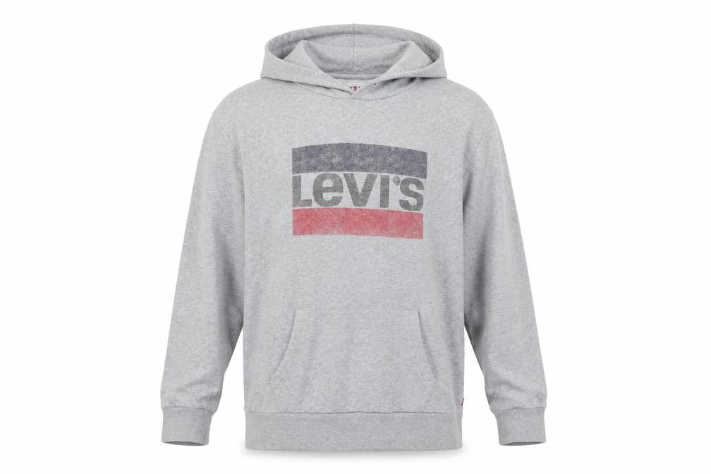 Front view of Levi's Men's Grey Pullover Hoodie L Logo Graphic Cotton Fleece