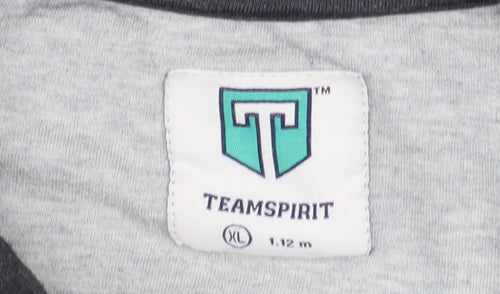 TeamSpirit Men’s Grey XL 1/4 Zip Pullover Sweatshirt