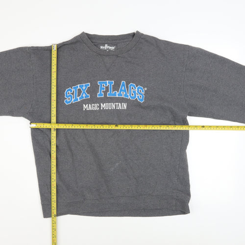 Six Flags Men’s Grey XL Pullover Sweatshirt Graphic Print