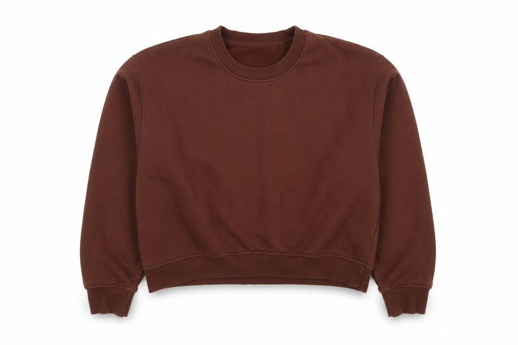 Front view of Zara Women Brown Cotton Blend Pullover Sweatshirt L Relaxed Fit