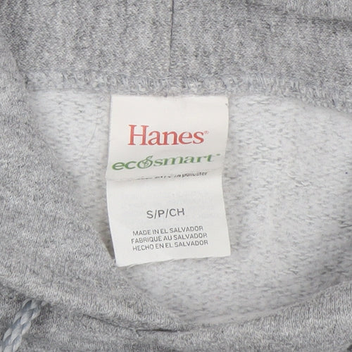 Hanes Mens Grey Pullover Hoodie Small Regular Fit Fleece