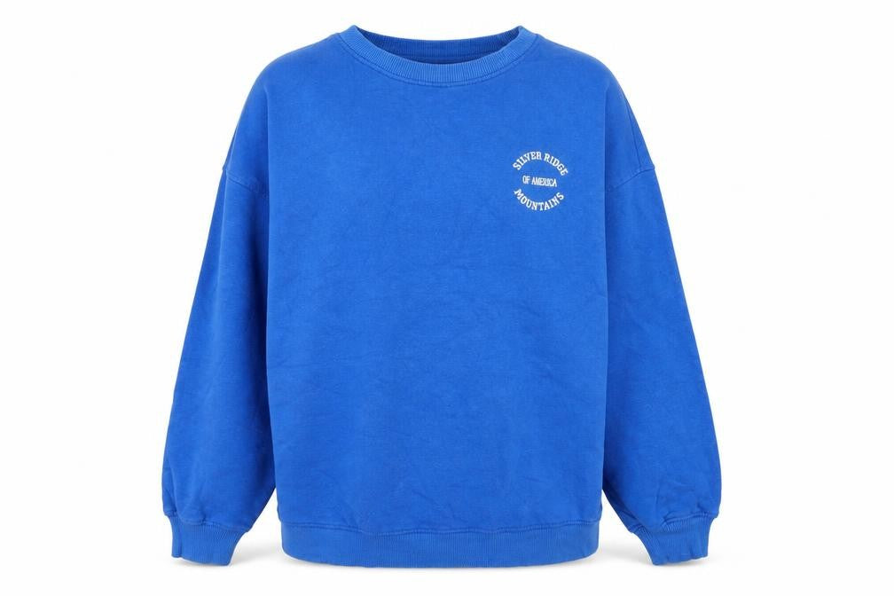 Front view of H&M Women Blue Cotton Crew Neck Pullover Sweatshirt XS