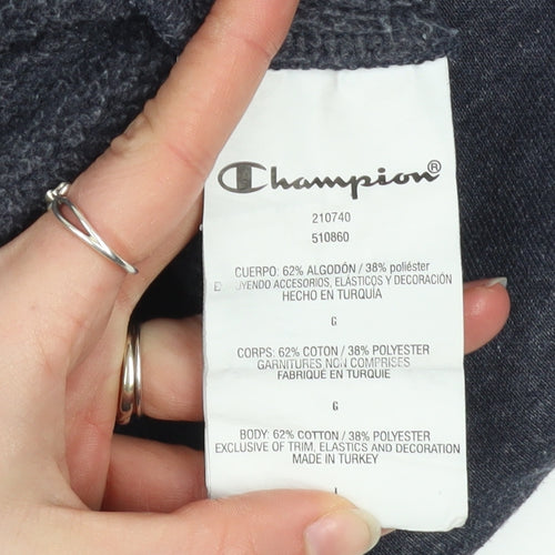 Champion Mens Blue Large Pullover Crew Neck Logo Sweatshirt