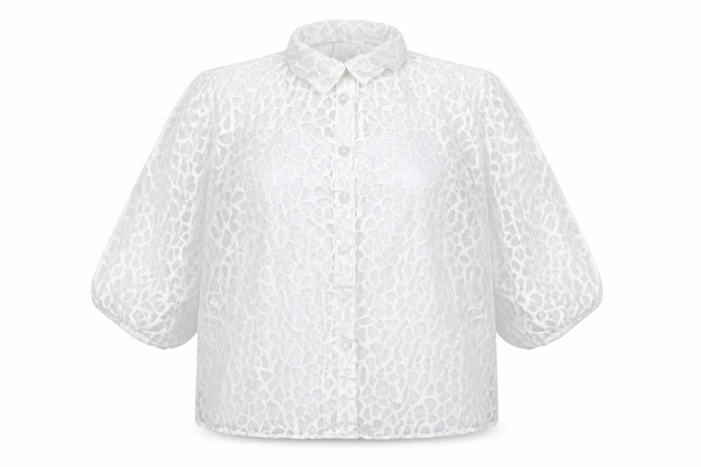 Front view of Saviion White Lace Sheer 3/4 Sleeve Collared Women's Blouse, size 14