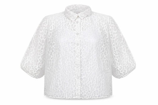 Front view of Saviion White Lace Sheer 3/4 Sleeve Collared Women's Blouse, size 14