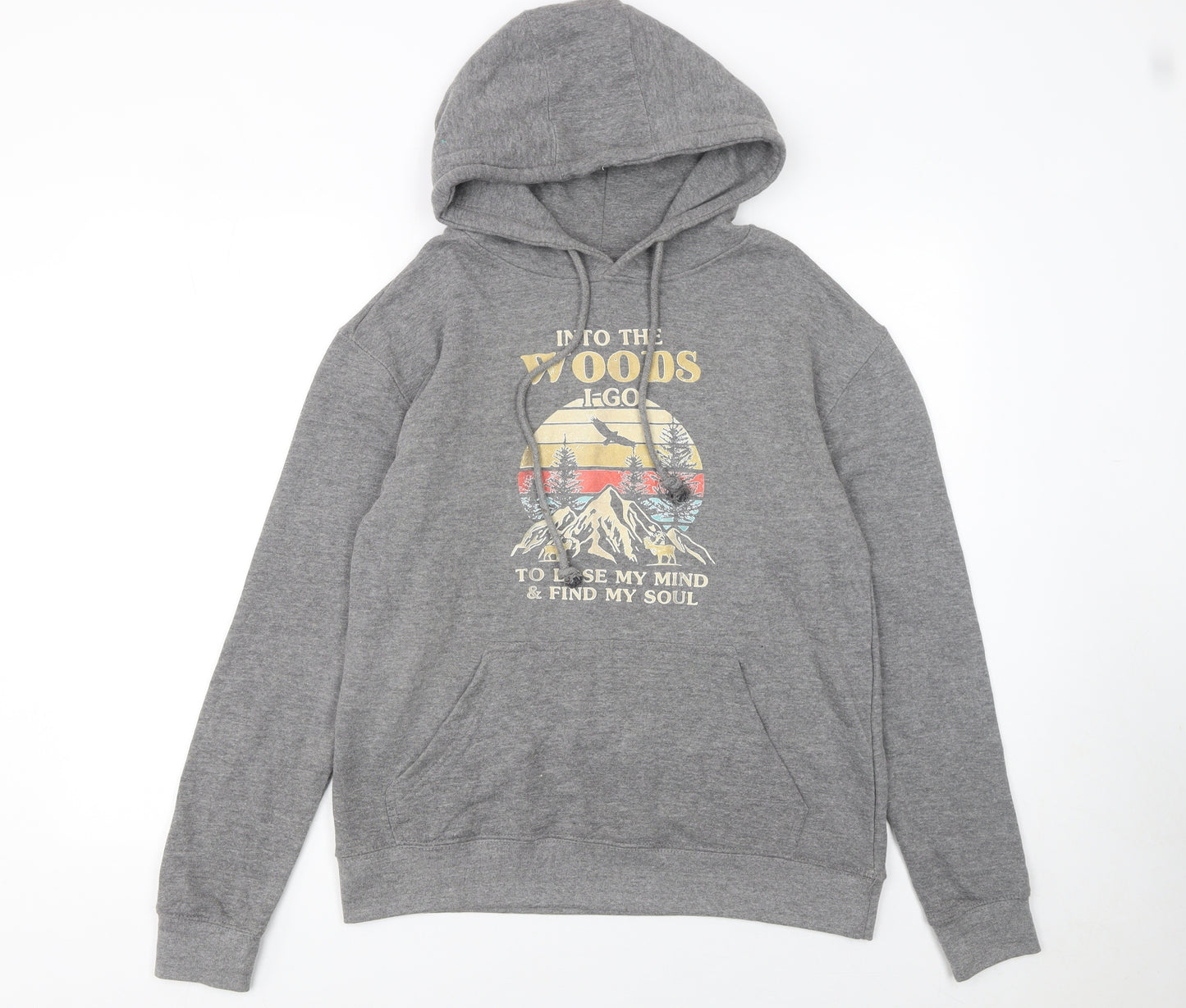 Lane Seven Men's Grey Graphic Pullover Hoodie Size S Outdoor Fleece