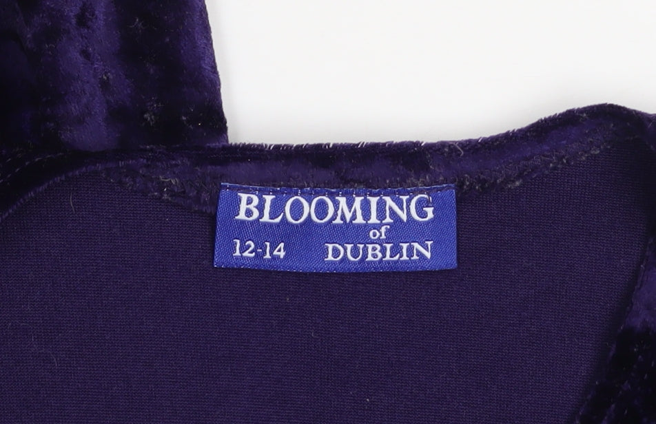 Blooming of Dublin Women's Purple Long Sleeve Velvet Maxi Dress Size 12-14