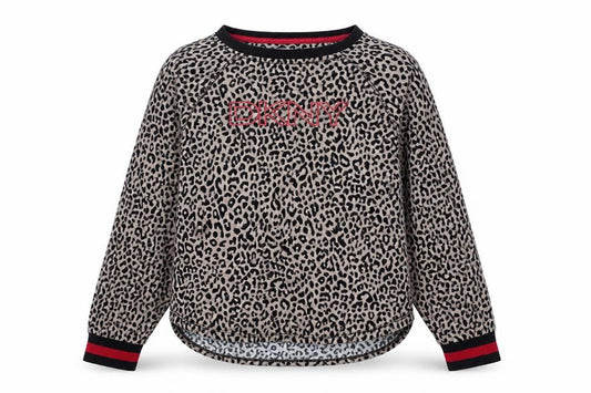 Front view of DKNY Women Beige Leopard Print jumper, size L, Long Sleeve